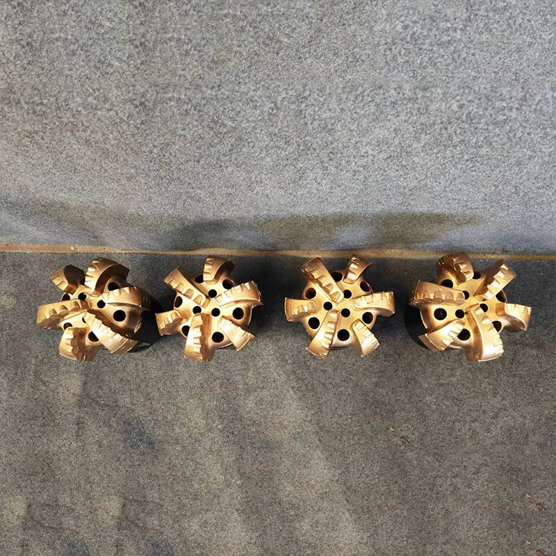 15 1/2 (393.7mm) Salle d'exposition personnalisée Emplacement champ pétrolier Puits d'eau PDC Bits Durable